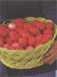 Easter