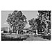 Vintage Greek City Photos Peloponnese - Messinia, Filiatra, Central Square (1927)