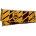 AEK Crest Scarf Replica