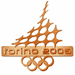 Torino 2006 Bronze Cut-Out Logo Pin