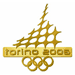Torino 2006 Gold Cut-Out Logo Pin
