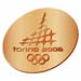 Torino 2006 Bronze Raised Logo Pin