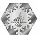 Torino 2006 Hexagon Snowflake Pin