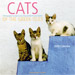 Cats of the Greek Isles 2008 12mo. Calendar