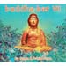 Buddha Bar VII - 2 CDs