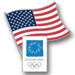 Athens 2004 USA Flag Pin