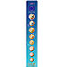National Face of the Euro Coins - Bookmark (2 sided)