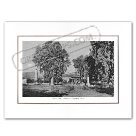 Vintage Greek City Photos Peloponnese - Messinia, Filiatra, Central Square (1927)