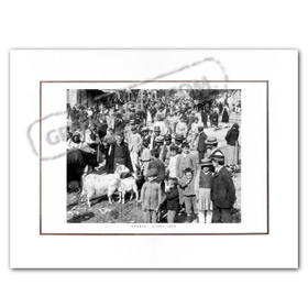 Vintage Greek City Photos Peloponnese - Lakonia, Sparti, Agora (1900)