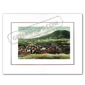 Vintage Greek City Photos Peloponnese - Arcadia, Vitina, city view (1910)