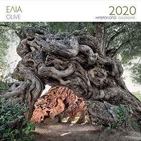 Greek Olive Trees 2020, Greek Wall Calendar 30 x 30cm