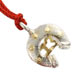 2013 Horse-shoe Gouri Goodluck Charm