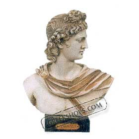 Apollon Bust