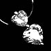 Swarovski Crystal Heart Necklace 4006SP