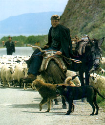 Cretan Villager