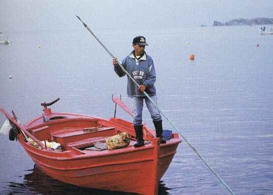 Chalkidiki fisherman out to sea