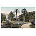 Vintage Greek City Photos Attica - City of Athens, Royal Garden Vasilikos Kipos (1907)