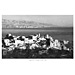 Vintage Greek City Photos Attica - Pireaus, Kastella (1950)