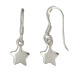 Sterling Silver Earrings - Hanging Star (10mm)
