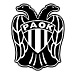 Greek Sports Team PAOK Logo Hooded Sweatshirt Style PAOK_2010