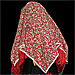 Traditional Head Scarf Style 647513