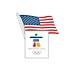 Vancouver 2010 USA Flag Pin