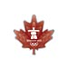 Vancouver 2010 Red Clear Maple Leaf Pin