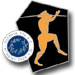 Athens 2004 Javelin Vase Shard Pin