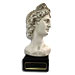 Apollo Bust (6")