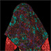 Traditional Head Scarf Style 647502