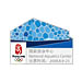 Beijing 2008 National Aquatics Center Venue Pin (Oversized)