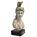 Athena Bust (23")