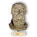 Plato Bust 12" (31 cm) Bronze Color